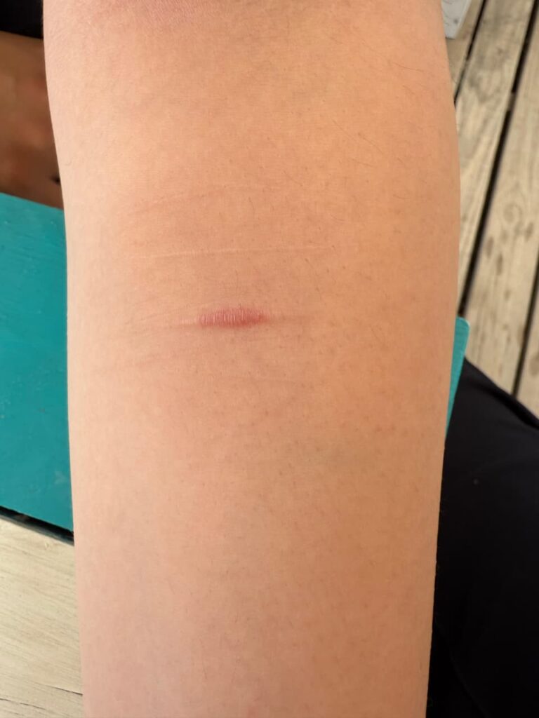 WhatsApp Image 2025-12-14 at 4.19.44 AM